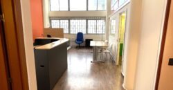 LOFT INDUSTRIAL EN VENTA