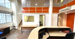 LOFT INDUSTRIAL EN VENTA