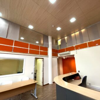 LOFT INDUSTRIAL EN VENTA