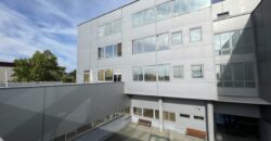 LOFT INDUSTRIAL EN VENTA