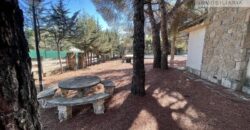 CHALET EN VENTA EN MANZANARES EL REAL