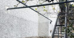 PISO AMUEBLADO EN ALQUILER