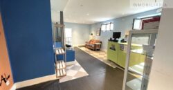 Vivienda / Local en Venta en Manzanares el Real